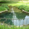 The 'font' (or spring) at Mottisfont Abbey, Mottisfont
