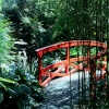 Japanese garden, Stapehill, Dorset