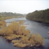 The River Tyne At Corbridge, Northumberland