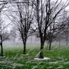Alvaston Park - February snow-shower