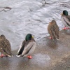 Alvaston Park