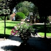 The potted flowers at Stapehill