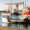 Fish Quay. Sunderland, Tyne & Wear