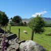 Hoathwaite Farm nr Coniston, Cumbria July 05