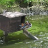 Wild Fowl Park. Washington, Tyne & Wear.