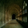Gloucester Cathedral--Cloisters (December)