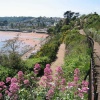 The Cliff Walk, Goodrington, Devon.