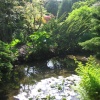Newstead Abbey, gardens