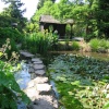 Newstead Abbey, gardens