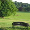 Wollaton Hall and Park, deer park