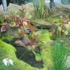 Kew Royal Botanical Gardens