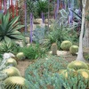 Kew Royal Botanical Gardens