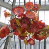 Kew Royal Botanical Gardens