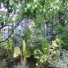 Kew Royal Botanical Gardens