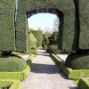 Levens Hall Garden, South Lakes
