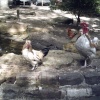 Chickens At Pets Cornere, Jesmond