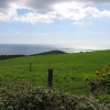 The Dorset coast, near Abbotsbury, England