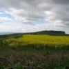 A picture of Abbotsbury