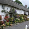 Cottage in Branscombe, Devon