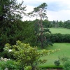 Berkeley Castle grounds