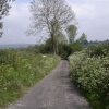 Rural country lane. Somerset, England