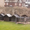 the ravens at The Tower of London, March 18, 2005