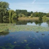A country park with lots of birds and wildlife, in Little Lever.