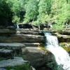 Kisden force