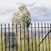The rollright stones, Oxfordshire.