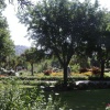Dartmouth Gardens, Devon