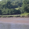Dartmouth, Devon. The River Dart