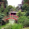 Biddulph Grange Garden - Chinese temple and wooden footbridge