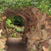 Biddulph Grange Garden - The Stumpery