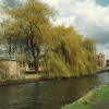 Alperton. Grand Union Canal