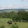 A picture of Sevenoaks