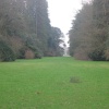 Westonbirt Arboretum. Winter Jan 2005