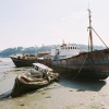 Ghost Ships, Appledore Woods, North Devon (Sept 05)