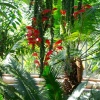 University Botanic Gardens, Cambridge