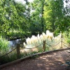 University Botanic Gardens, Cambridge