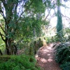 University Botanic Gardens, Cambridge