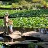 University Botanic Gardens, Cambridge