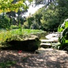 University Botanic Gardens, Cambridge