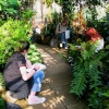 University Botanic Gardens, Cambridge