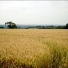 South of Ticknal, Derbyshire