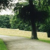Halifax, Shibden Park dry stone wall
