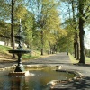 A picture of Lincoln