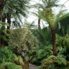 Tatton Park, Cheshire