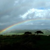 A picture of Dartmoor National Park