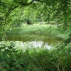 Pond in the Cotswolds, Oxfordshire