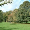 Peaceful scene, Cockington Country Park, Devon